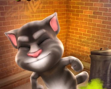 Talking Tom Cat