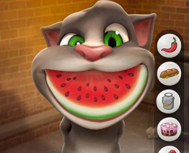 Talking Tom Cat