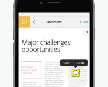 Adobe Acrobat Reader