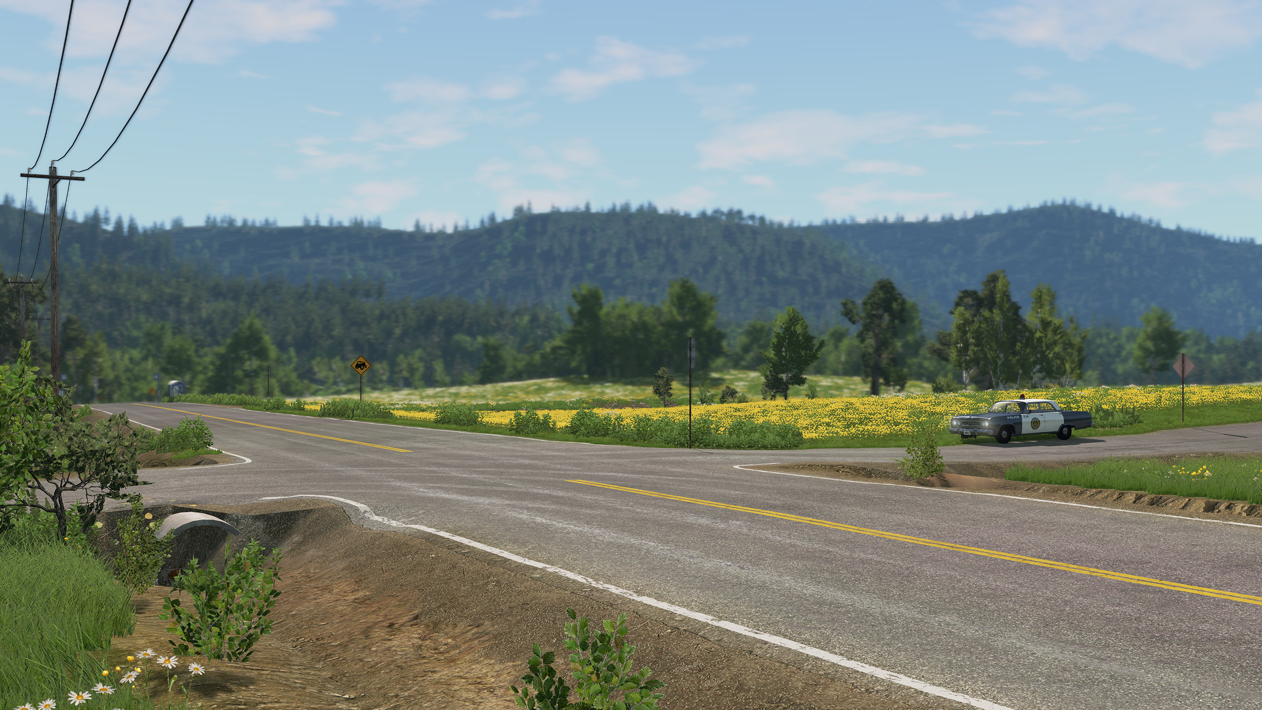 BeamNG.drive